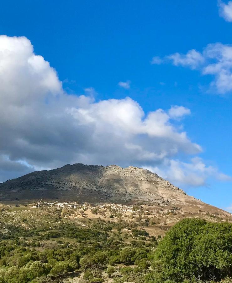 Sari Keci Tas Otel İmroz Esterno foto